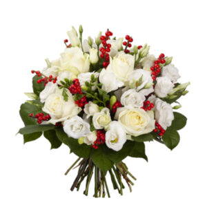 Ilex