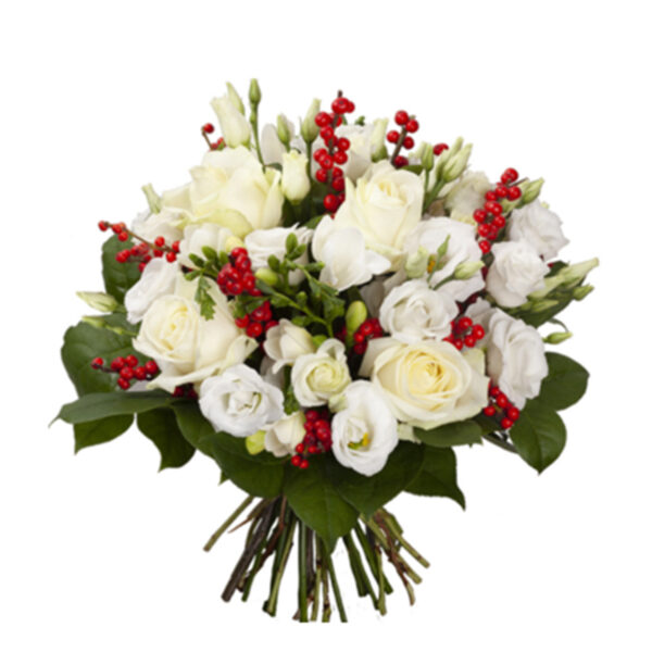 Ilex