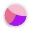 rose-claire-rose-fonce-violet