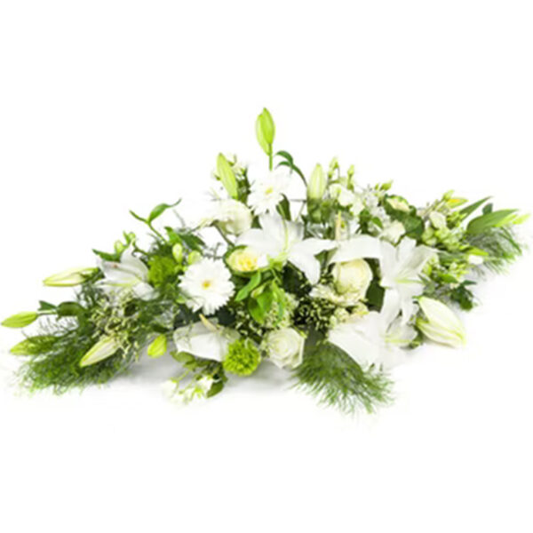 Cohésion – Image 3