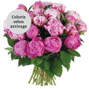 Bouquet de pivoines